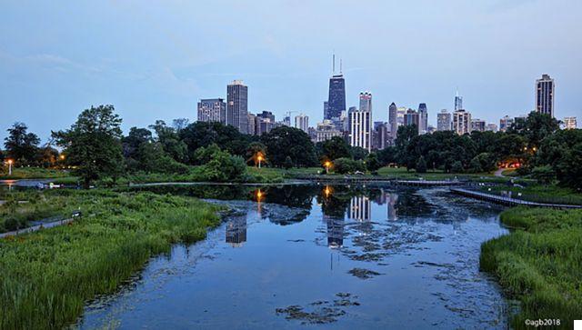 Naturaleza en la ciudad: Parques urbanos y espacios verdes en Chicago