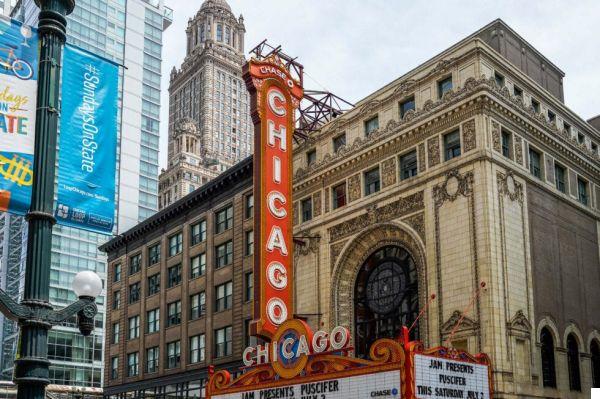 Cultural Diversity: Immersive Experiences in Chicago's Neighborhoods
