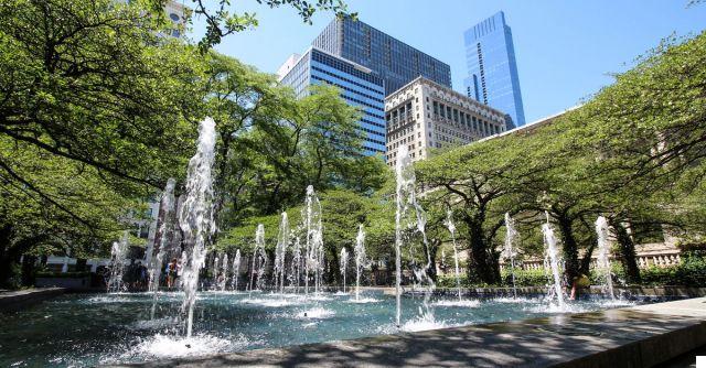 Espacios verdes: Parques, jardines y paseos marítimos en Chicago
